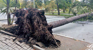 ����: kavkaz-uzel.ru