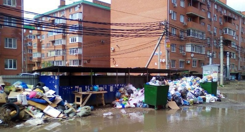 Переполненная мусором контейнерная площадка в Краснодаре. Фото Анны Грицевич для "Кавказского узла".