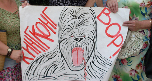 Плакат участников пикета рядом с офисом группы компаний "Кингкоул-Юг". Фото  Валерия Люгаева 