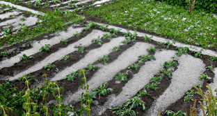  ������ ����������� ������� ������� ����������� ����������� ������ ������ 