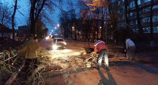  ����� ������ ������� ������ �������� ������ 