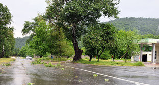  ������ ���������� ������� ���������������� ������� 