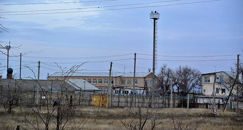 ИК-1 Калмыкии, 30 ноября 2015 года. Фото Бадма Бюрчиев