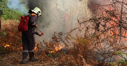 Лесной пожар © Пресс-служба ЮРПСО МЧС России