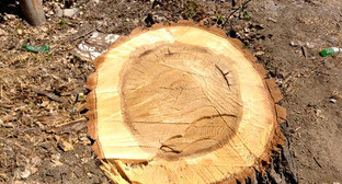  ������ ��������� ������������ ������� �������� ������������ ������ 