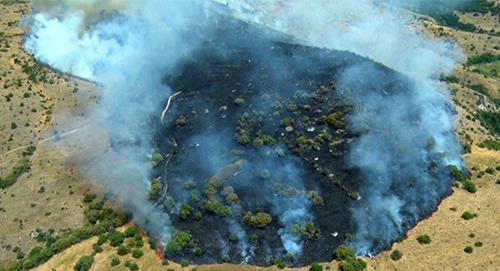 Пожар в Хосрввском лесу, Армения. Фото © МЧС РА
http://mes.am/files/pics/2017/08/12/9517.jpg