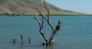  ������� ������������� ��������� ������ ������ 