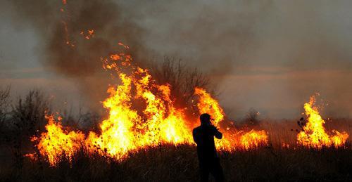Природный пожар. Фото: Михаил Ступин / Югополис