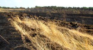  �������� �������� ���������� ������ ������������� ������� 