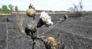  ��������� ������������ ����������� ������� ������������� ������� 