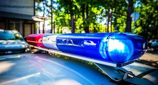  �������� ��� ������ 