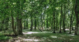  ����� �������� ��������� ���� ���������� ���������� ���� 