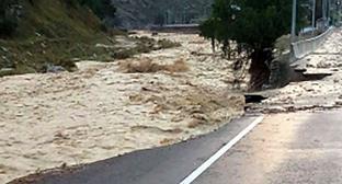  ������ ������� ���������-�������� ������� ������ ���� 