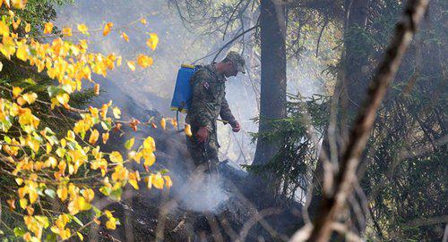 Военнослужащий на ликвидации пожара в Грузии. © FB / Giorgi Kvirikashvili
