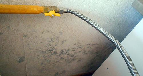 Плесень на потолке ванной комнаты. Фото Людмилы Маратовой для "Кавказского узла"