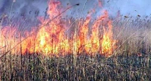 Пожар в степи. Фото http://34.mchs.gov.ru/pressroom/news/item/5565125
