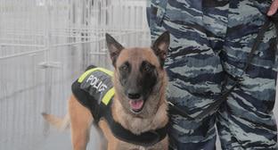 ����: kavkaz-uzel.ru