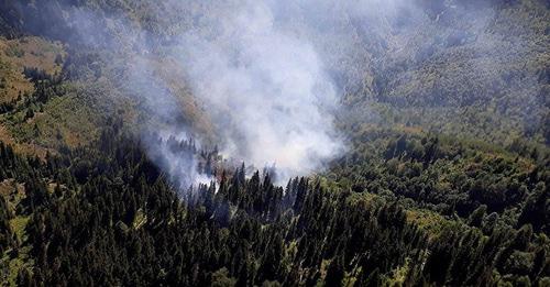 Тушение лесного пожара. Фото https://sputnik-georgia.ru