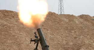  115 ��������� ������������ ����������� ��������� ������� 