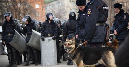 Сотрудники полиции. © Фото Елены Синеок, Юга.ру