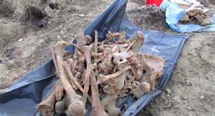 ����: kavkaz-uzel.ru