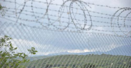 Колючая проволока на границе. Фото © Sputnik / Dmitry Vinogradov
