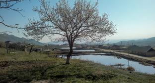  ������ ������������� ������ ���������� ������� ������ ���������� �������� 