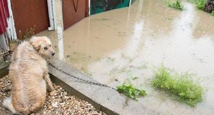  ������ ������ ��������� �������� ���������� ������������ ������� 