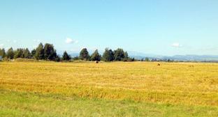 ����: kavkaz-uzel.ru