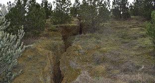  390 ������������ ������ ������� ���� 