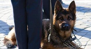  ����������� ������� ������ ���������� ������� 