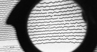  ������������� ��������� ���� �������� 