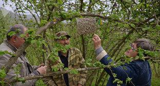  ������ �������� ����������� ������� ������� 