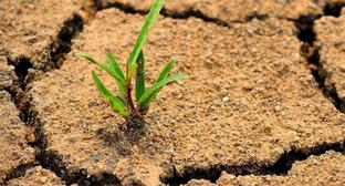  ������ ����� ������ ����� ������ 