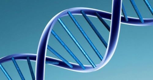 молекула ДНК. Фото: wikipedia.org