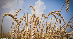  ��������� ��� ��������� ������ ������������ �������������� ����� 