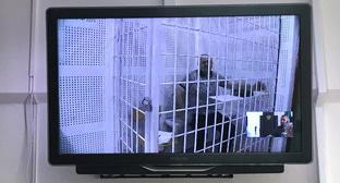  ����� ������� ������ ����� ���� ������� 