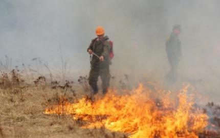 Работа пожарных. Фото пресс-службы Южного регионального центра МЧС России