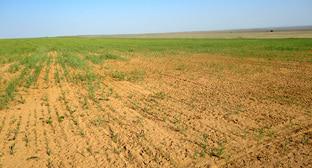  ����� ������ ����������� ������� �������� ������ 