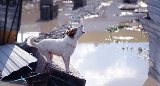  ���� ������ ��������� ����� 