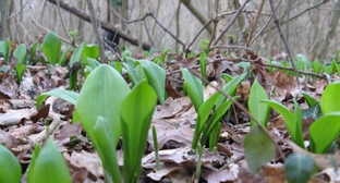  ��� ��������� �������� ������� �������� ������� ������������ ����������� 