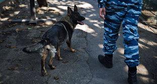  ������� ���������� ���� ������������ ��������� ������ 