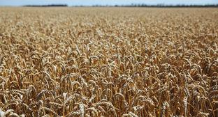  ����� ������������ �������� ������ ����� ������ ������ 