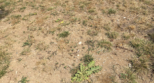  ����� ������ ���� ������� �������� ������ ������ 