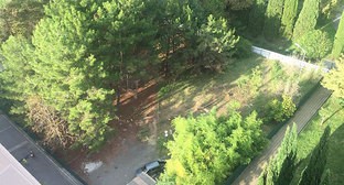 Фото: am.vesti.news