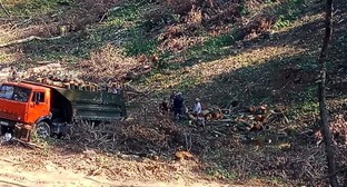 Фото: kavkaz-uzel.ru