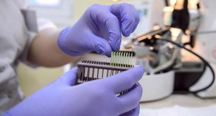 ����: kavkaz-uzel.ru