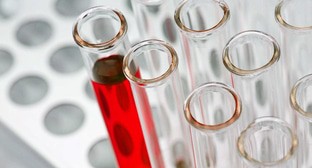  ������ ������������ ������������� �������� 