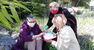  ������ ������ ���� ����������� ���������� 