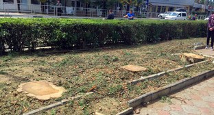  ������� ������� ��� ������ ����� �������� ���������� ������� 